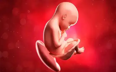 أداة ذكاء اصطناعي تحلل المشيمة للكشف