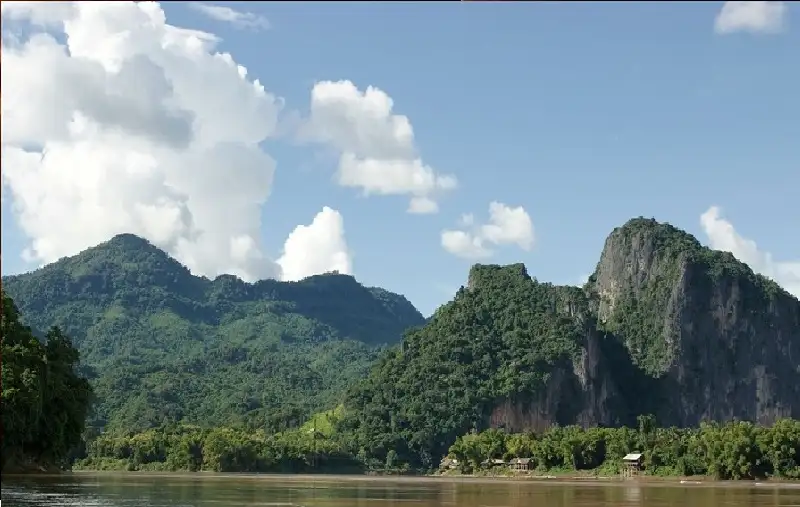 اكتشاف 230 نوعا جديدا من الحيوانات