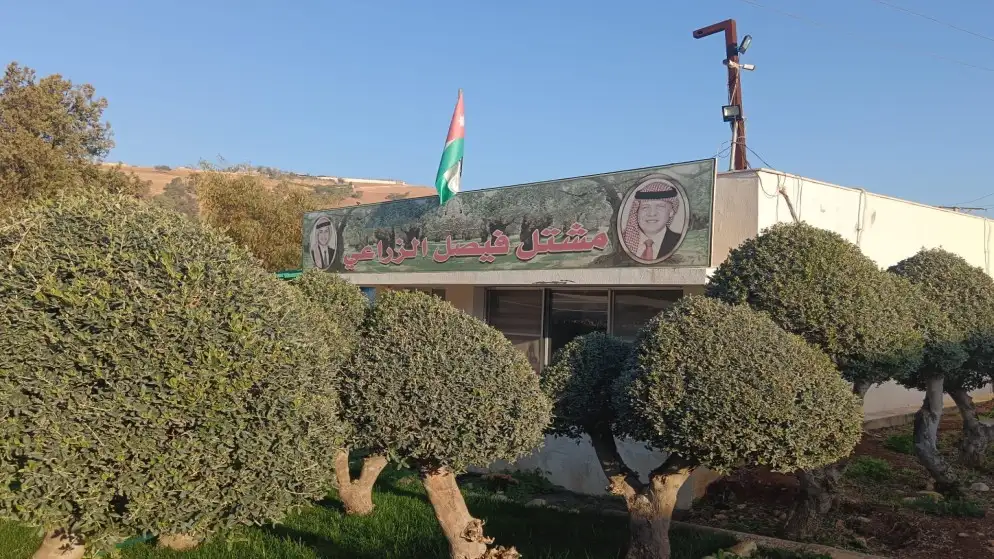 إنتاج 400 ألف شجرة حرجية ومثمرة