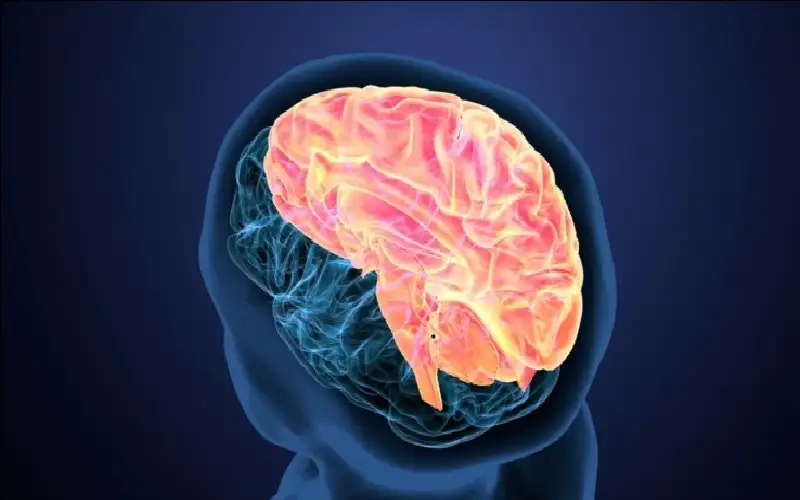 .. نصائح للوقاية من ظاهرة تعفن