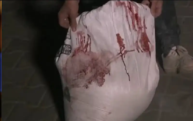 في غزة.. كيس الطحين يساوي الدم