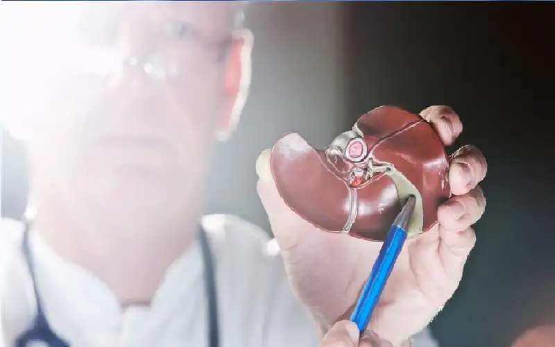 ما هو سرطان المرارة والقنوات الصفراوية؟