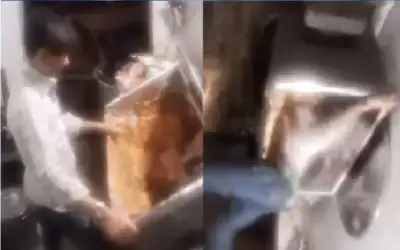 في الهند.. وفاة شاب سحقا داخل
