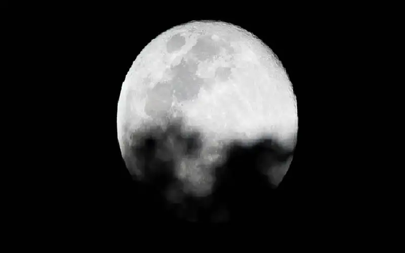 دراسة جديدة تنسف حقيقة راسخة بشأن