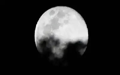 دراسة جديدة تنسف حقيقة راسخة بشأن