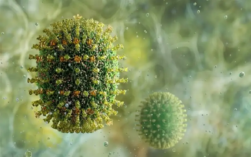 بعد 40 عاما من البحث.. فك