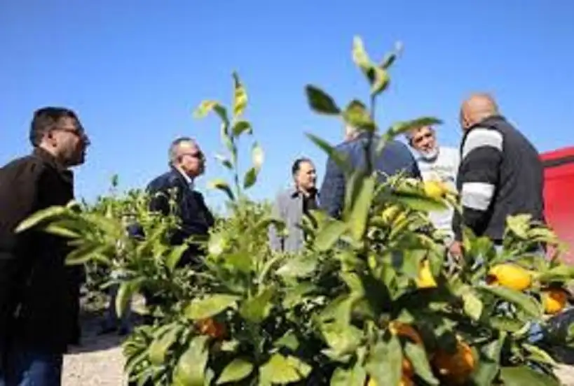 أمين عام سلطة وادي الأردن يشيد