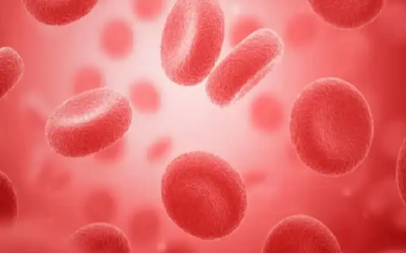 لأول مرة عالميا.. شركة تنتج دم