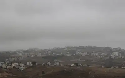 أجواء باردة نسبيا الأحد