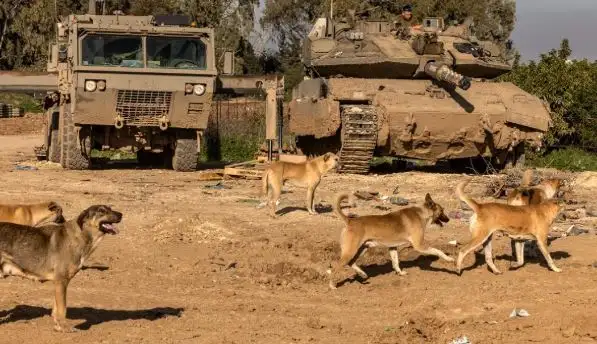 الاحتلال يقتل العائلات بغزة ويلقي جثامينهم