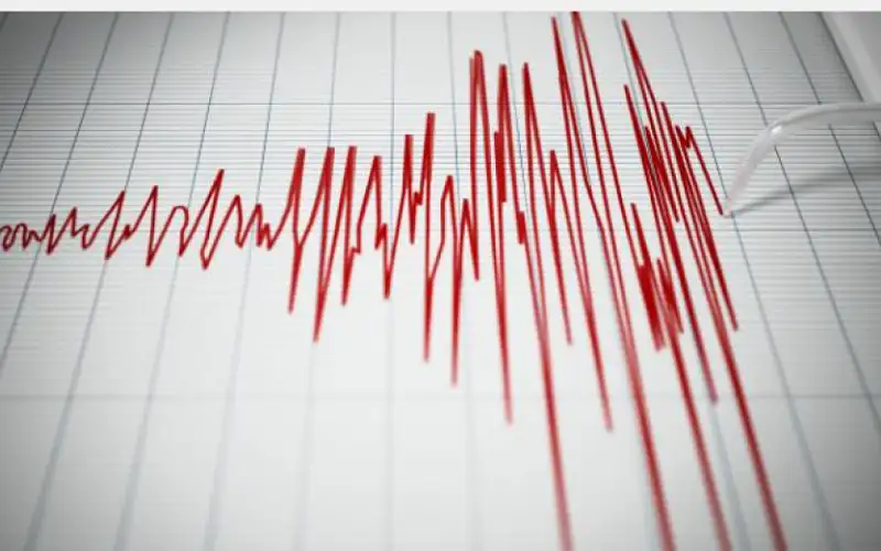 مرصد الزلازل : لم يسجل أي