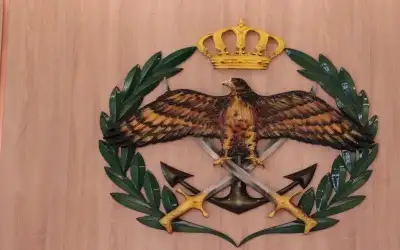 سلاح الهندسة يتعامل مع عدد من