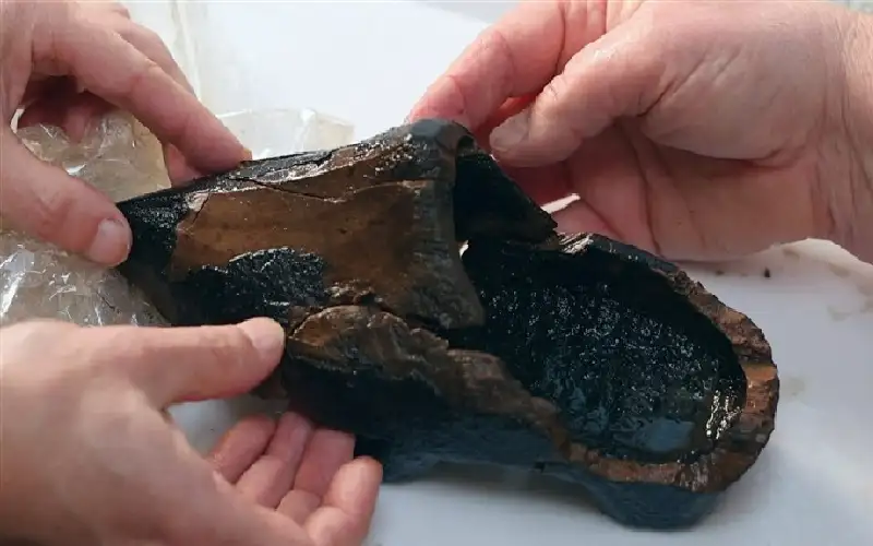 عمره 500 عام.. اكتشاف أول قبقاب