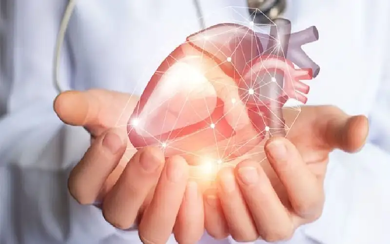 أغرب اكتشاف طبي في 2024: القلب