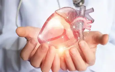 أغرب اكتشاف طبي في 2024: القلب
