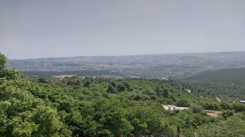 كوادر محمية دبين تنفذ 1500 جولة