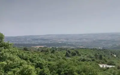 كوادر محمية دبين تنفذ 1500 جولة