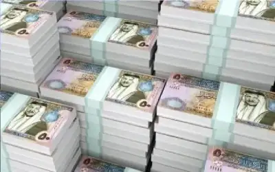 ديوان المحاسبة يكشف عن أموال منح