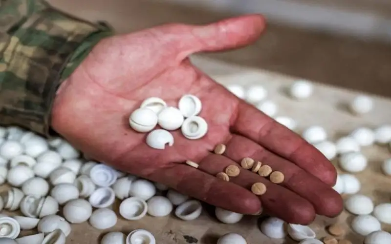 السلطات السورية تعلن إحراق قرابة مليون