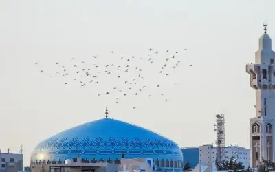 وزارة الأوقاف تدعو إلى أداء صلاة