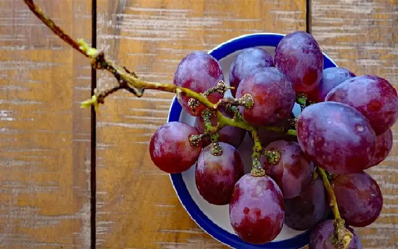 العنب يضاعف كفاءة وفعالية أجهزة الاستشعار