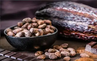 الكاكاو أفضل من البيتكوين