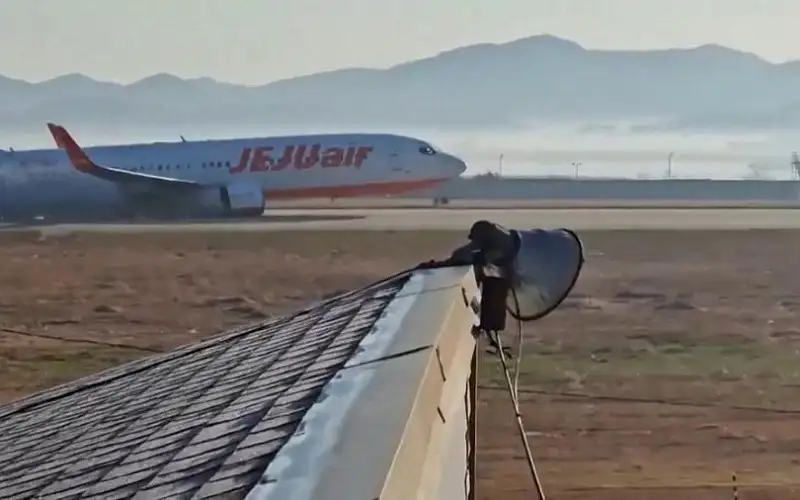 مقتل 179 شخصا وإنقاذ 2 في