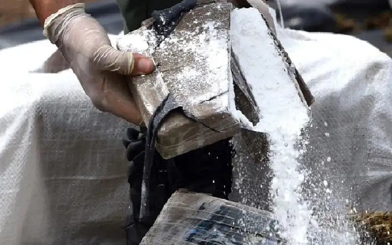 ضبط نصف طن من المخدرات على