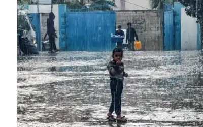 غزة.. تصاعد العمليات العسكرية والكارثة الإنسانية