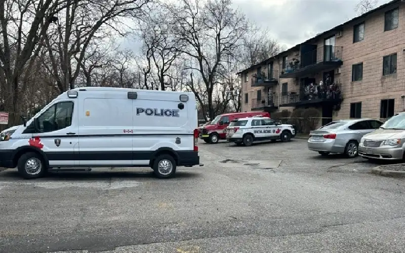 ألمانيا.. رجل يقتل شقيقه طعنا إثر