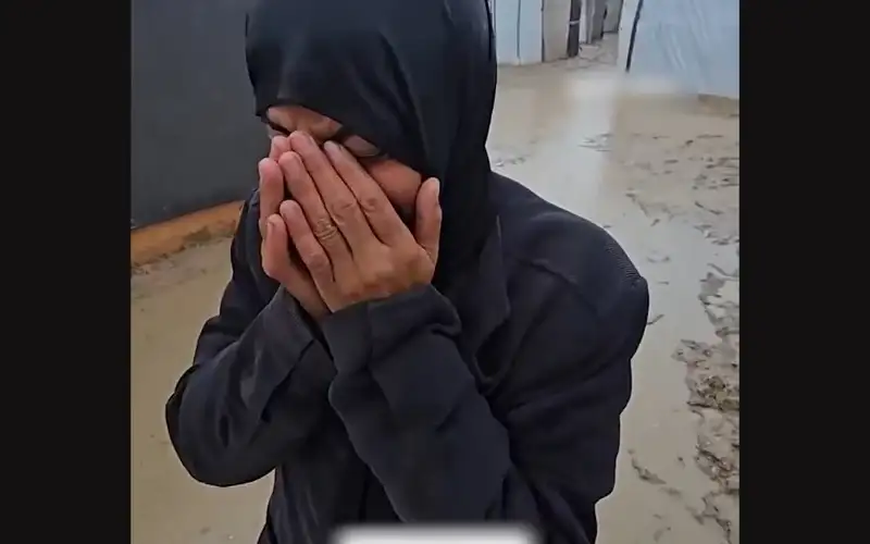 هنا غزة 2025 .. قلبونا معهم