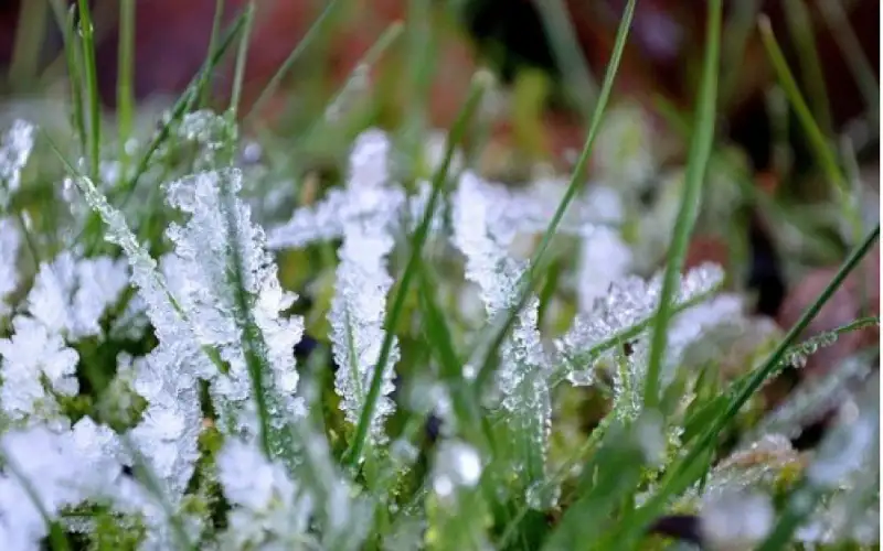 الارصاد : طقس بارد وصقيع متوقع
