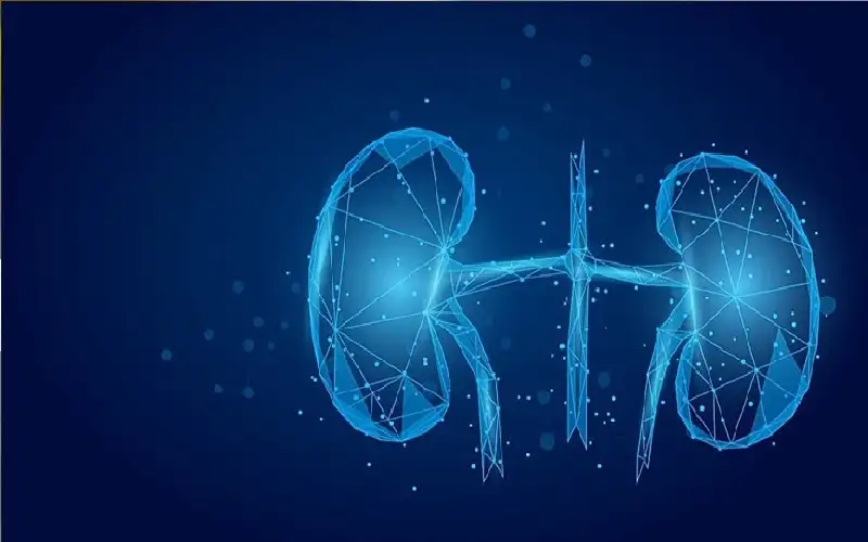 مقارنة بين تأثير كورونا والإنفلونزا على