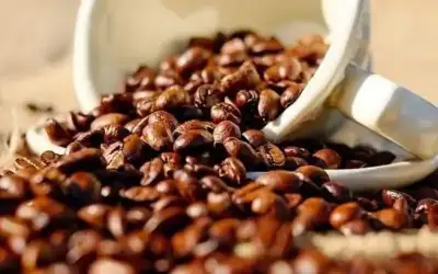 ارتفاع غير مسبوق في أسعار القهوة