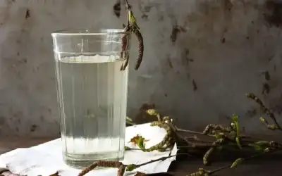 ماء البتولا.. ينبوع صحة وجمال شعرك