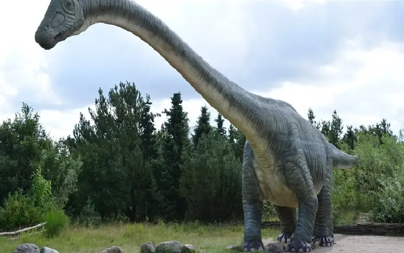 اكتشاف آثار أقدام ديناصورات من العصر