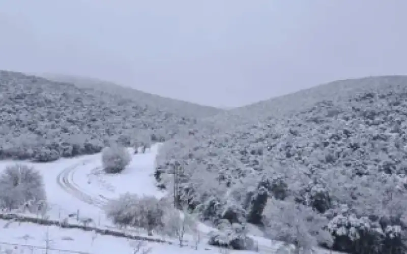 الأرصاد : المؤشرات الحالية لا تشير