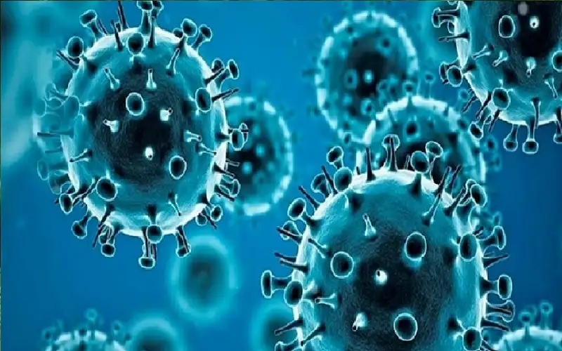 هل تواجه الصين جائحة جديدة بعد