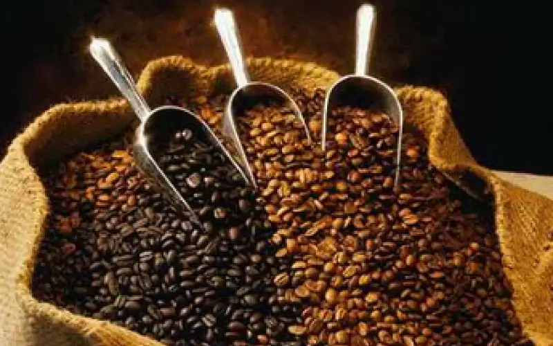 تجارة الأردن: ارتفاع أسعار أنواع قهوة