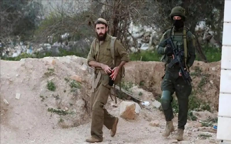 مستوطنون يقتحمون مدرسة في بردلة بالأغوار