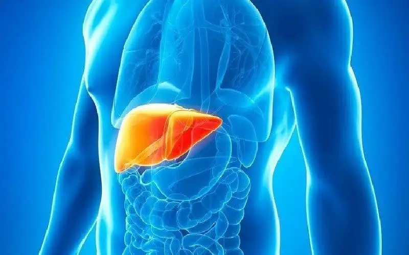 كيف تحافظ على صحة الكبد؟
