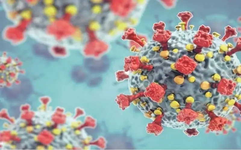 ما حقيقة فيروس الصين الجديد المثير