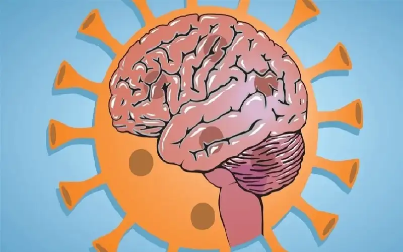 كوفيد- 19 يعيش في الدماغ ونخاع