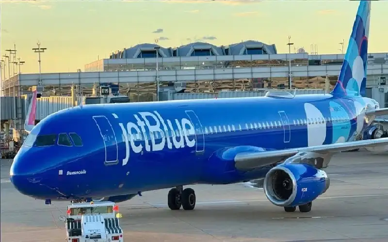 بعد رحلة بين نيويورك وفلوريدا.. اكتشاف