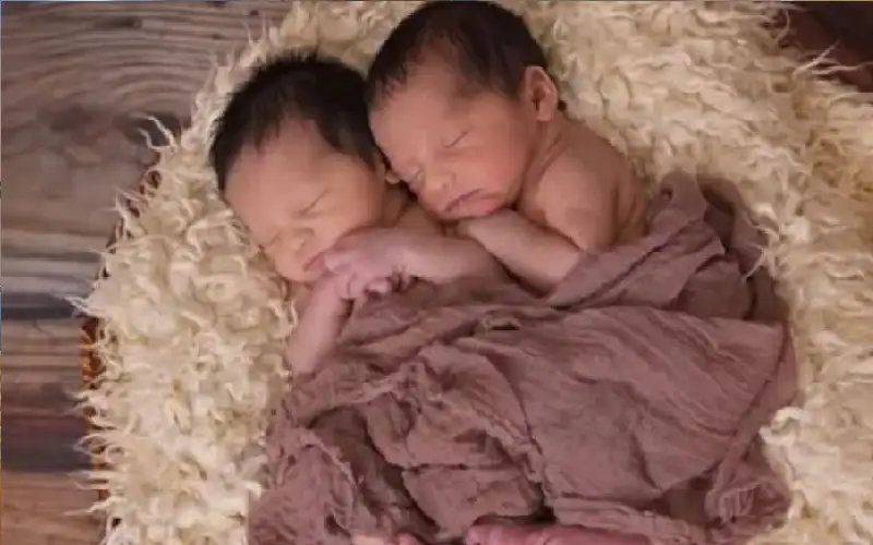 دراسة: قبل 60 مليون سنة كان