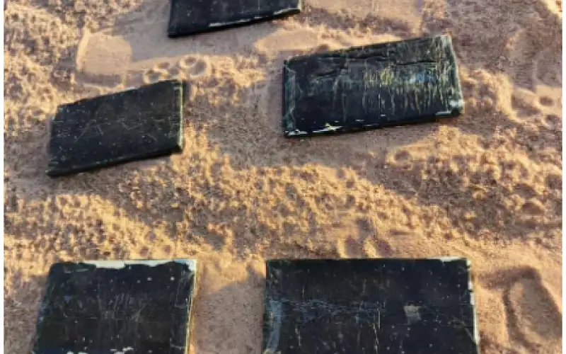 المنطقة العسكرية الجنوبية تحبط محاولة تهريب