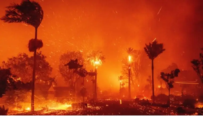 مصرع 5 أشخاص جراء حرائق الغابات