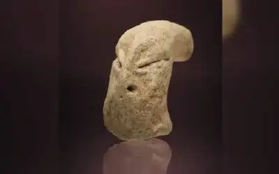 الكويت.. اكتشاف رأس كائن مجهول يثير
