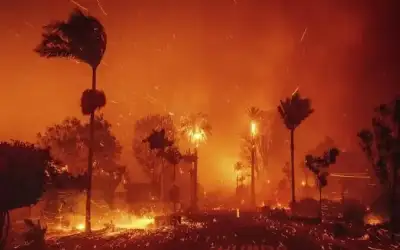 الولايات المتحدة: خسائر الحرائق لوس أنجلس