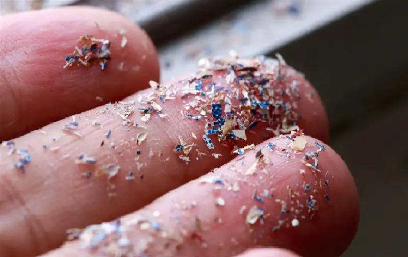تقرير علمي: البلاستيك الدقيق خطر كبير